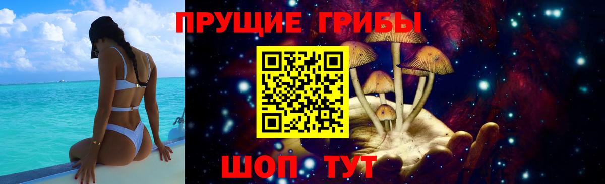 Псилоцибиновые грибы Psilocybe  Псилоцибиновые грибы MAGIC MUSHROOMS  Мичуринск  Вход с VPN 